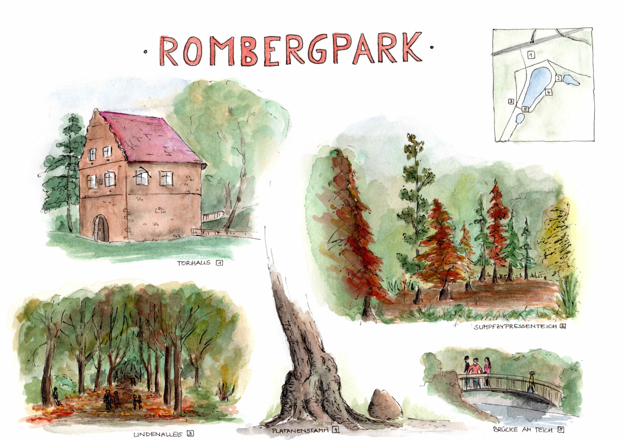 Rombergpark - Dagmar Knappe