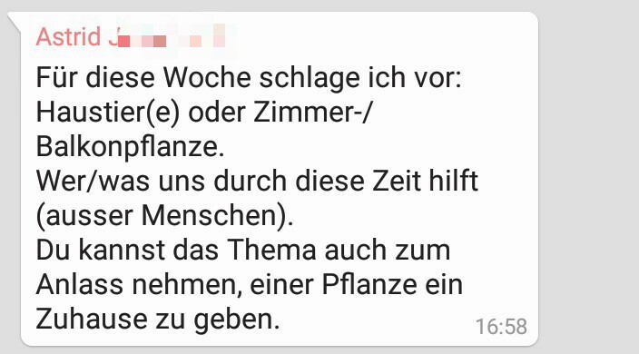 Uskdo Donnerstag: Was uns durch diese Zeit hilft – Haustier/Pflanze