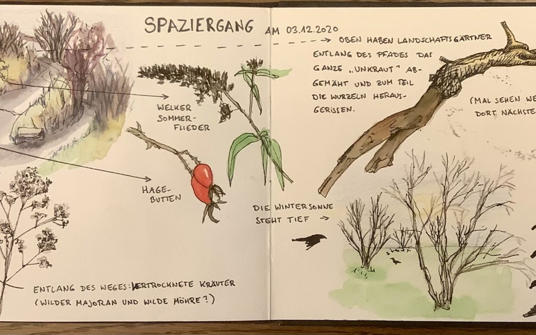 Spaziergang in der Natur