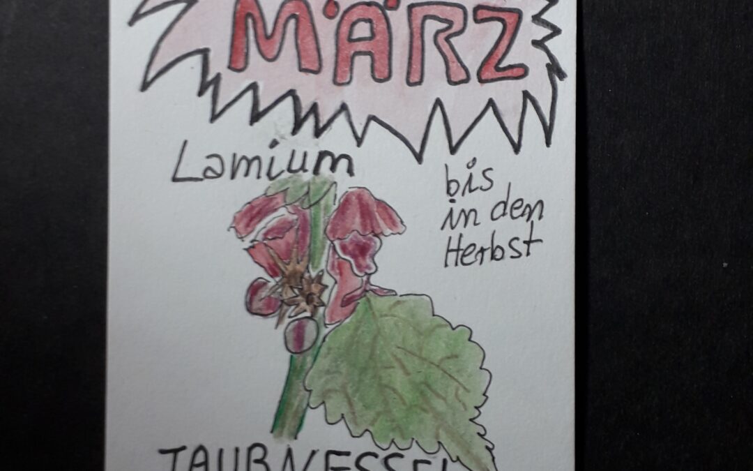 Das Skizzenbuch