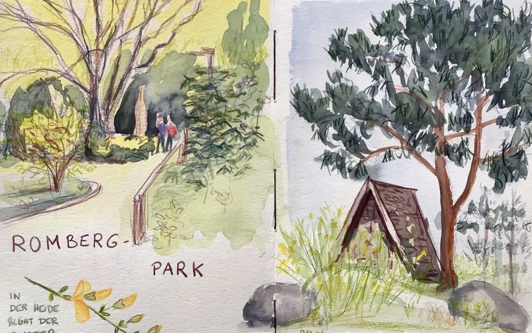 Sonntags-Sketchwalk im Rombergpark