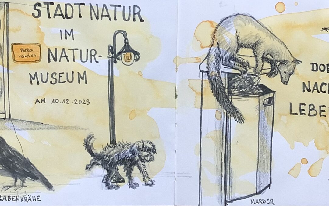 Stadtnatur im Museum