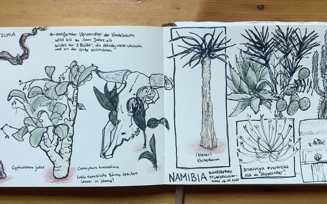 Pflanzenschauhaus Rombergpark